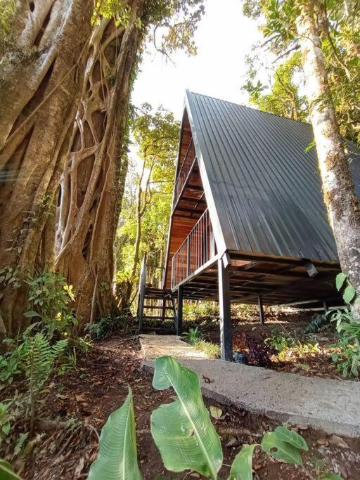 Casa Del Arbol Villa Monteverde Екстериор снимка