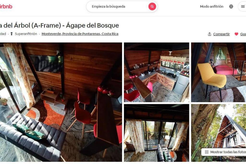 Casa Del Arbol Villa Monteverde Екстериор снимка