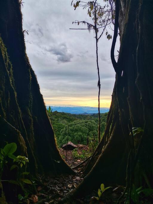 Casa Del Arbol Villa Monteverde Екстериор снимка