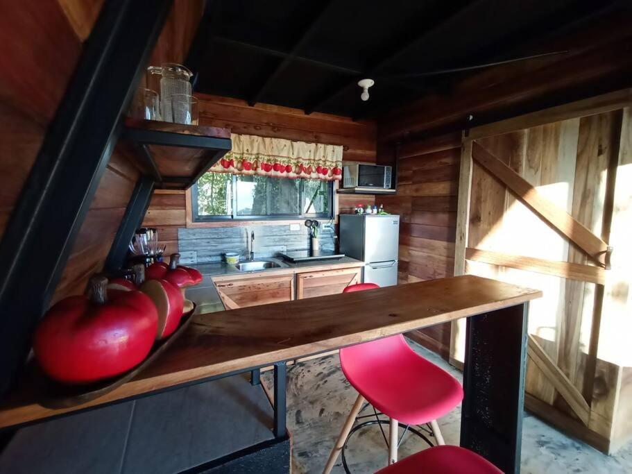 Casa Del Arbol Villa Monteverde Екстериор снимка