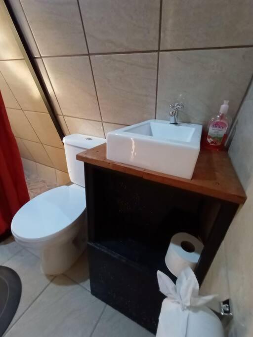 Casa Del Arbol Villa Monteverde Екстериор снимка