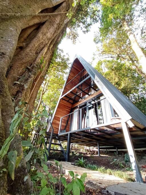 Casa Del Arbol Villa Monteverde Екстериор снимка