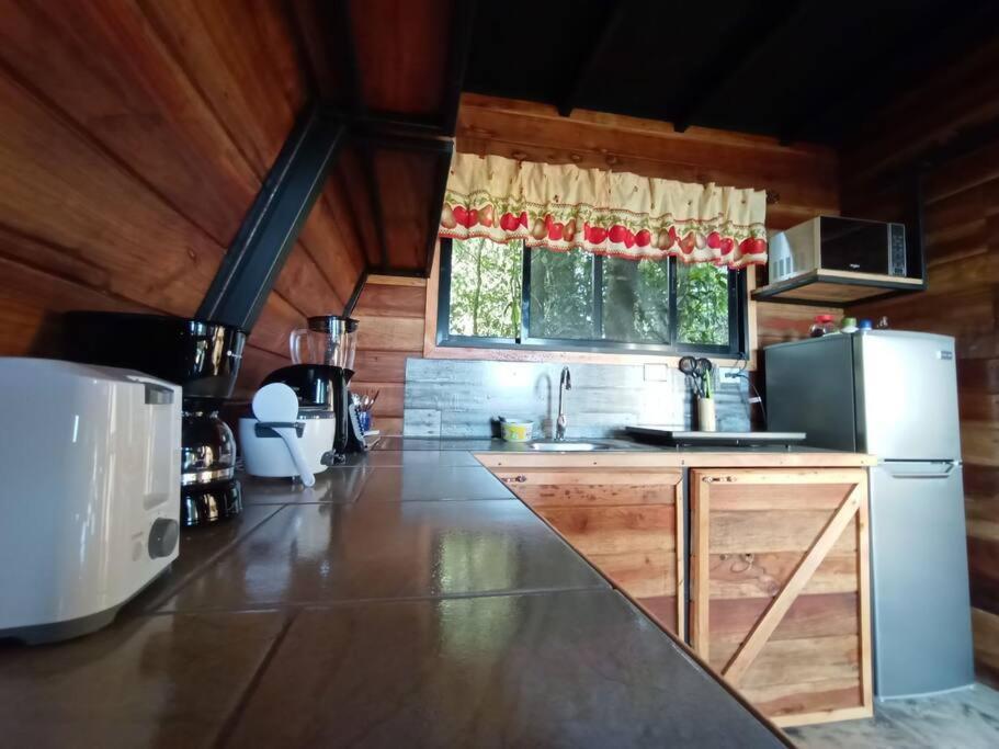 Casa Del Arbol Villa Monteverde Екстериор снимка